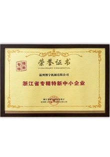 Zhejiang Province Specialized, Refined, Unique and New Small and Medium sized Enterprises