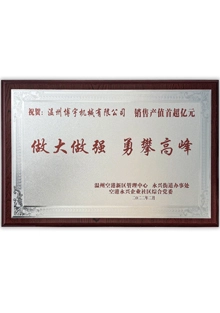 Congratulations Medal